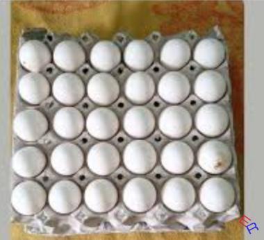 En venta contenedor de huevos 
