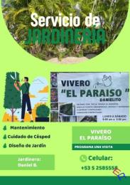 Jardinería Profesional**: Servicios expertos para embellecer tu espac